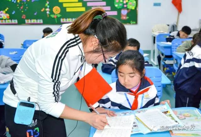 福鼎附属小学招生信息全面解析