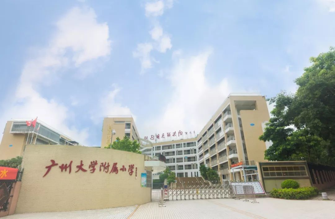 广州附属小学排行及综合评估概览