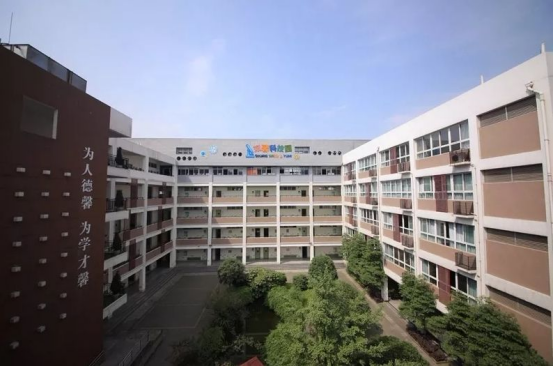 五桥附属小学，培育未来的摇篮之地