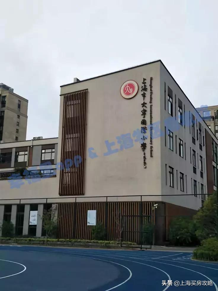 大宁学院附属小学，培育未来人才的摇篮