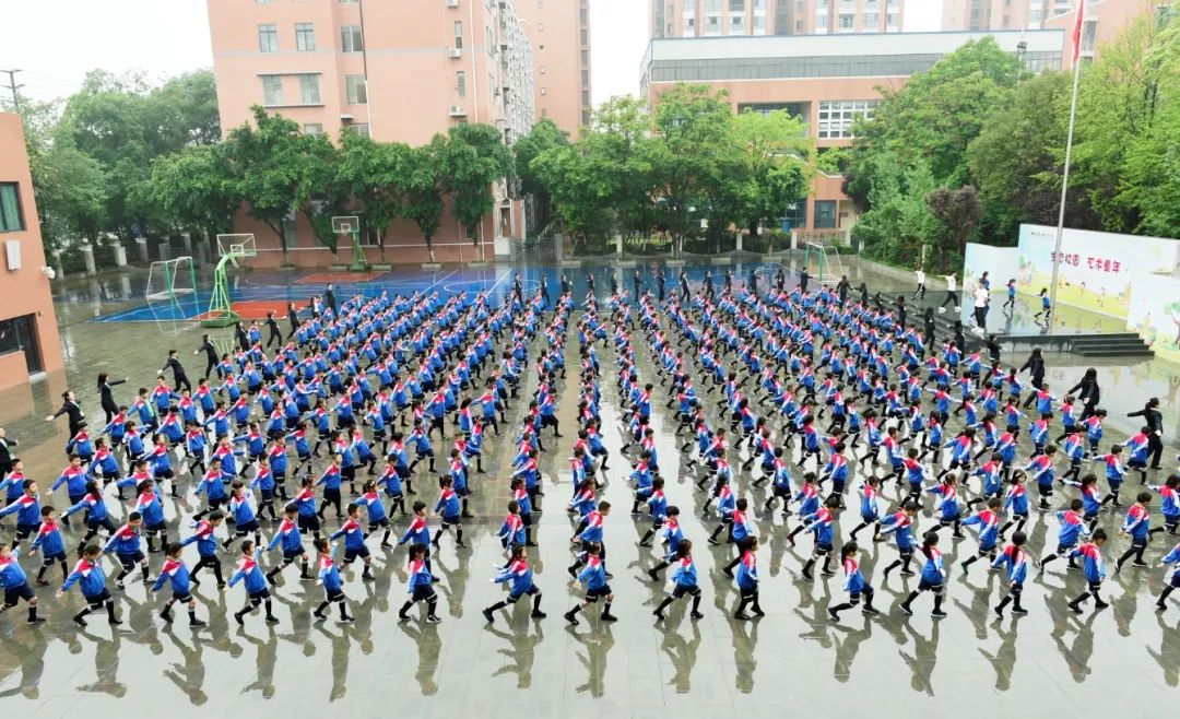 双流学院附属小学，培育未来的摇篮教育之道