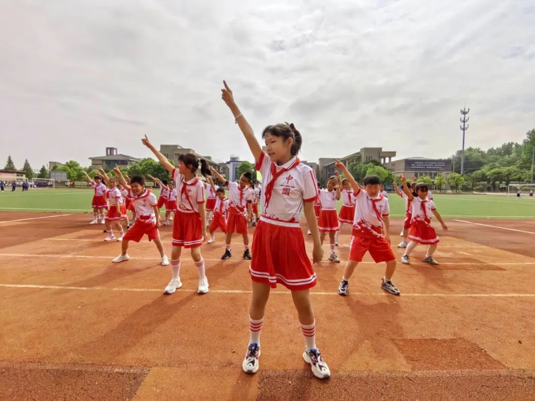 枫杨附属小学，培育未来之星，育人为本的教育理念