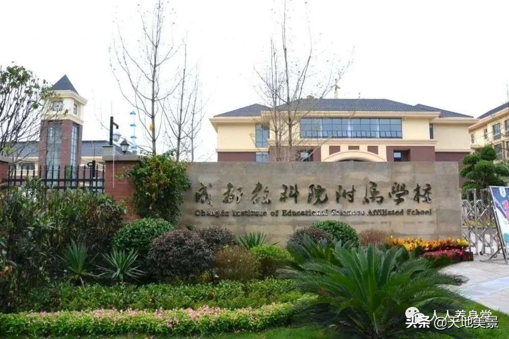 走进教科院附属小学，探索与发现的旅程