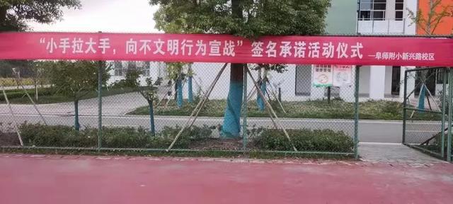 阜宁附属小学概览