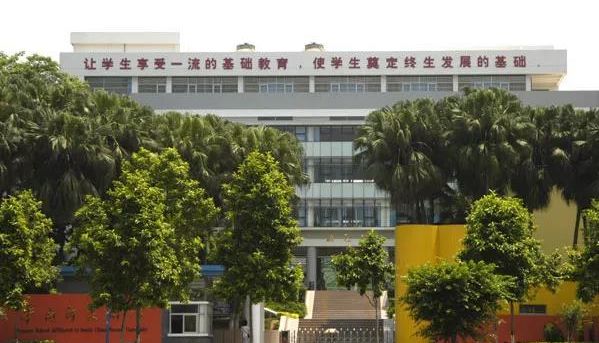 华南附属小学南沙，教育新篇章启航