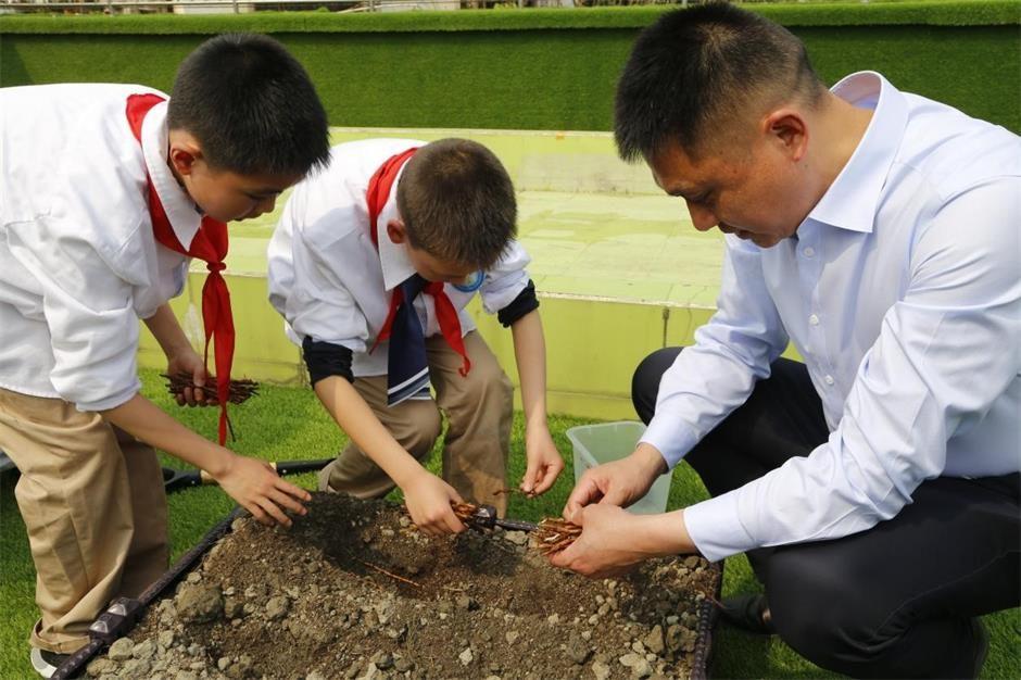 师范附属小学体操，培育孩子身心素质与未来潜力之旅