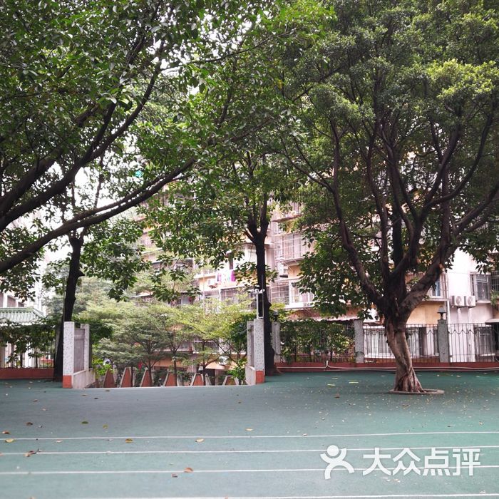 中大附属小学，卓越教育的探索典范