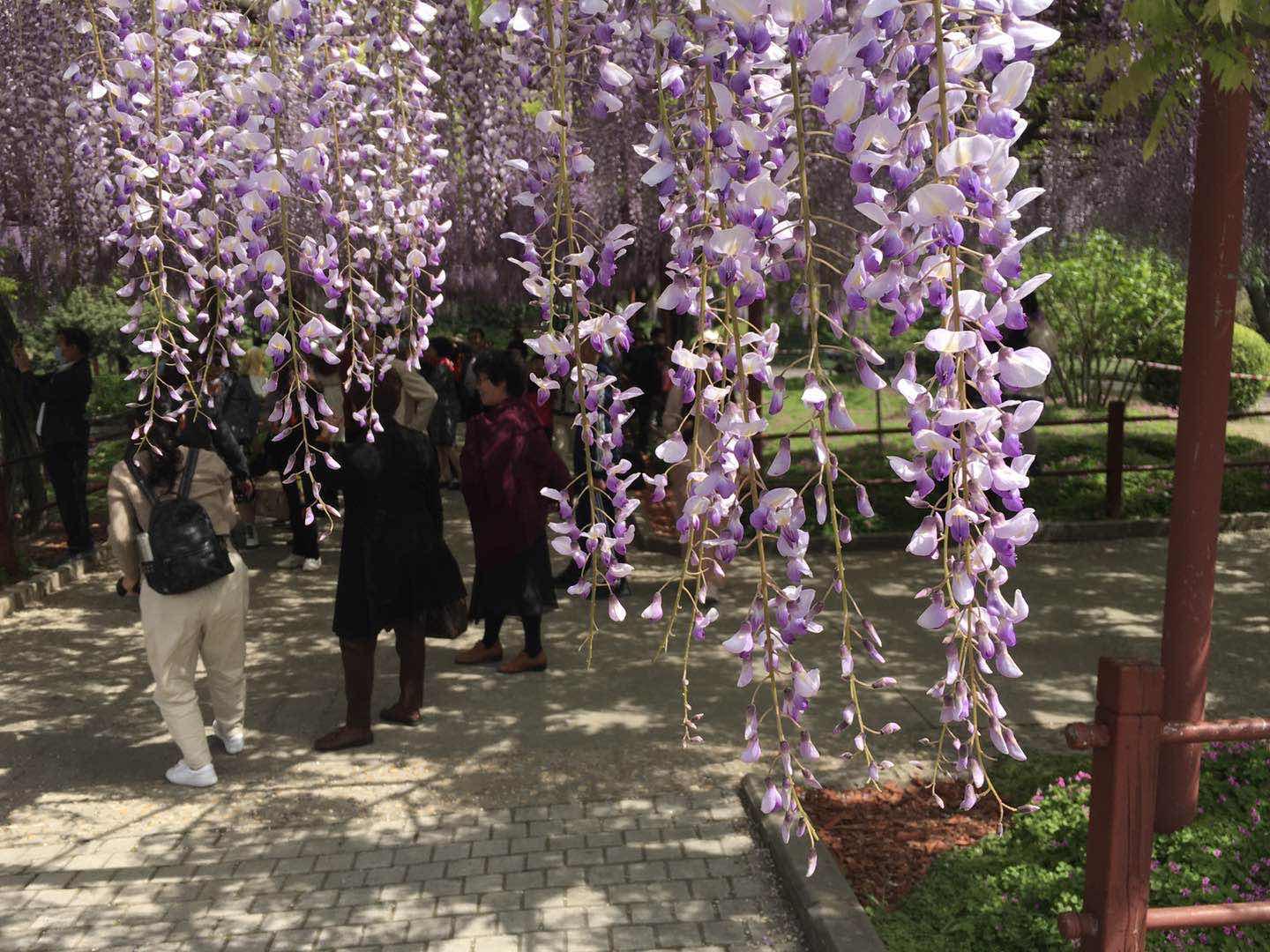 嘉二附属小学，培育未来的摇篮之地