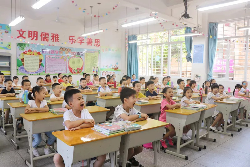 附属小学年级，探索与成长之旅