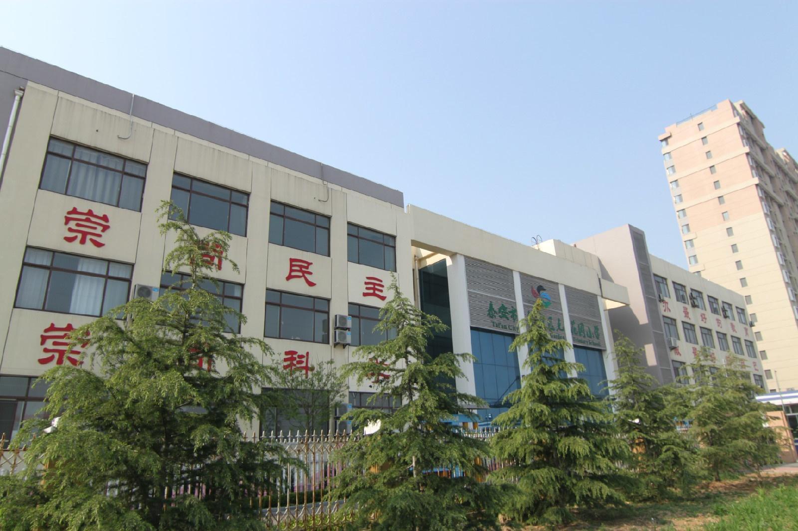 寿光师范附属小学，培育未来之星的摇篮