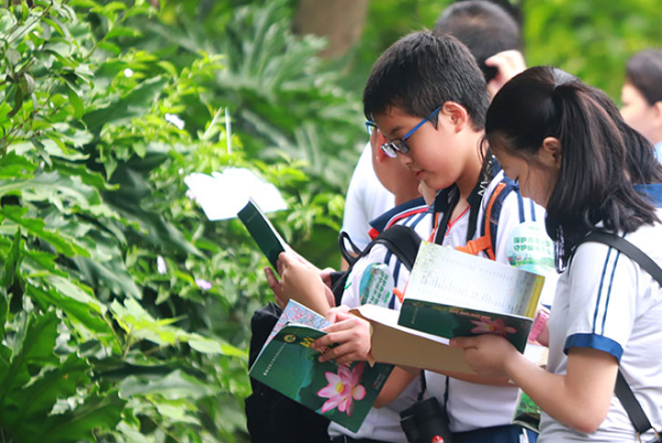 小学生自然知识的学习与运用指南