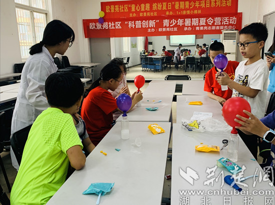 小学科学课堂中的动手实践环节探索