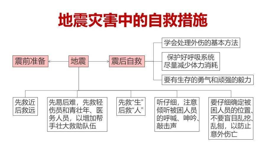 小学生应急避险能力培养的重要性与策略探究