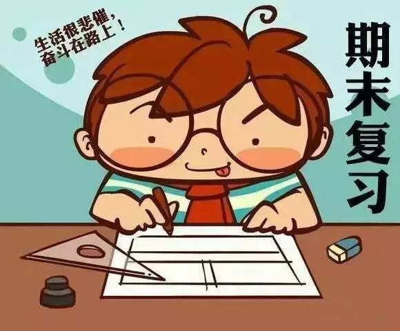 小学生高效复习考试知识点攻略