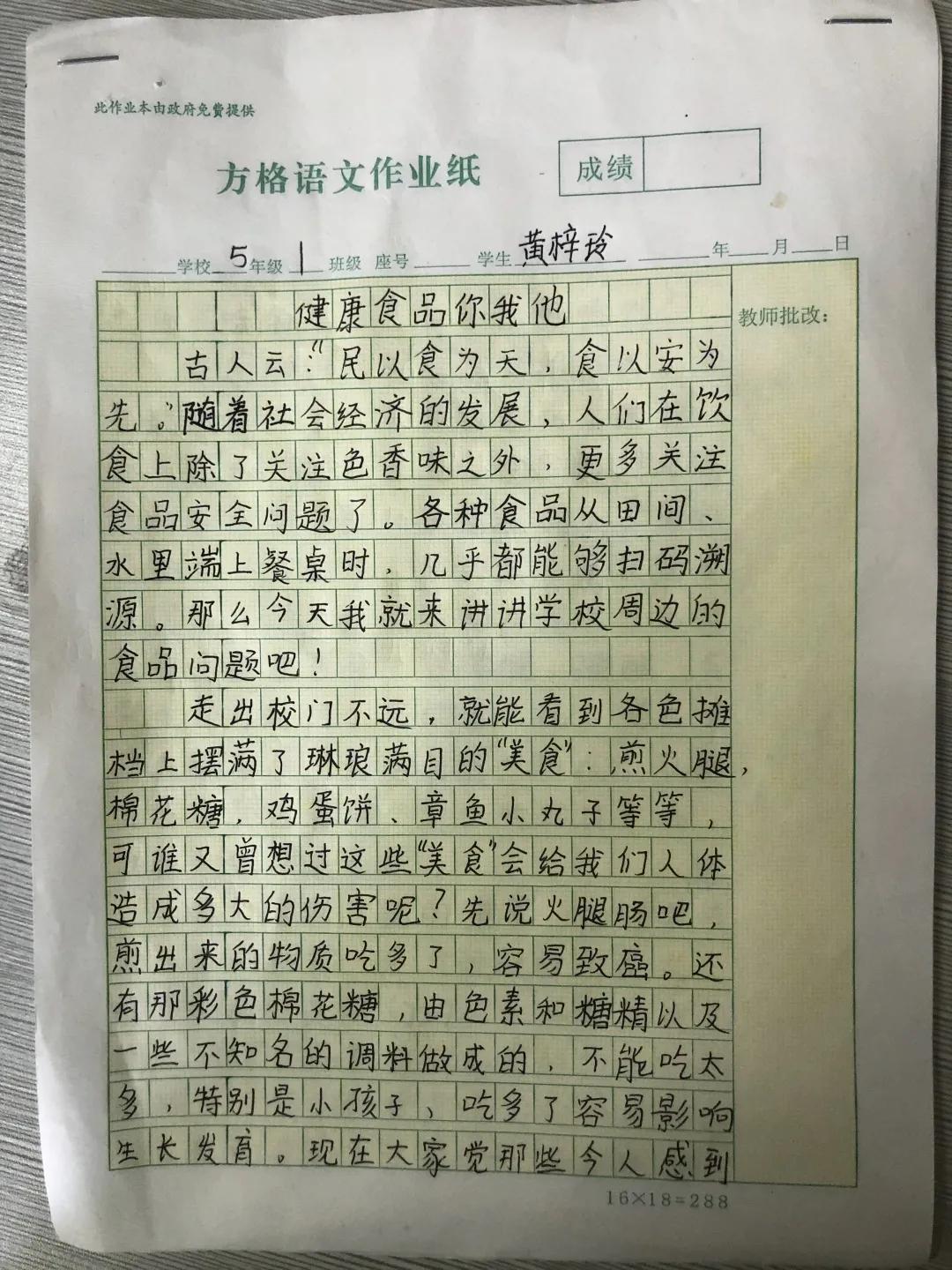 学生从小食品安全意识培养的重要性，健康成长的基石