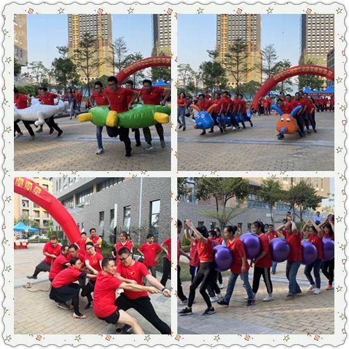 小学体育课程，提升学生团队合作能力的策略与实践