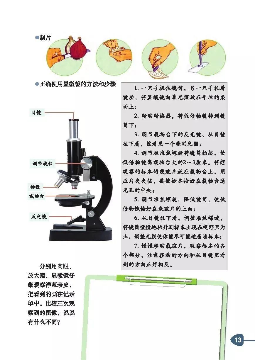 显微镜下的奇妙世界，小学科学课程如何激发学生探索兴趣