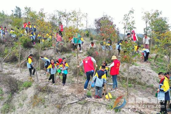 山前附属小学招生简章公布，报名指南一览无余