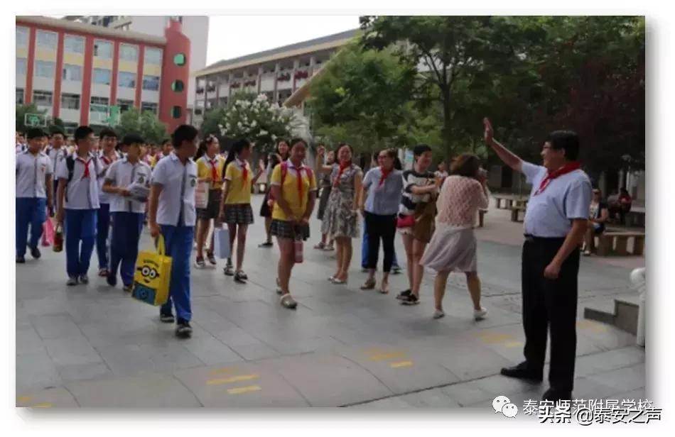 泰安师傅附属小学，孕育未来的教育摇篮之梦