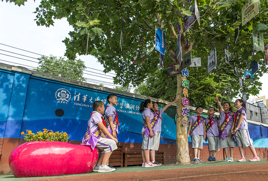 清河大学附属小学，孕育未来的教育摇篮