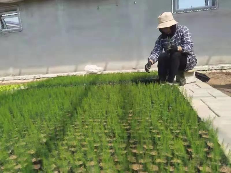 东丰附属小学新学年开学，启程新征程，共筑新起点