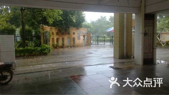 番禺南郊附属小学，育人为本，塑造未来之星