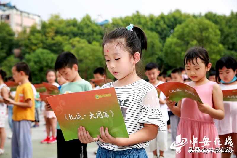 实验附属小学午餐，营养美味与健康成长共鉴的时光