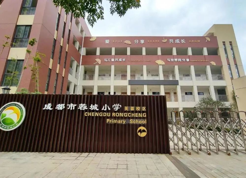 山东科大附属小学，璀璨明珠的教育之光