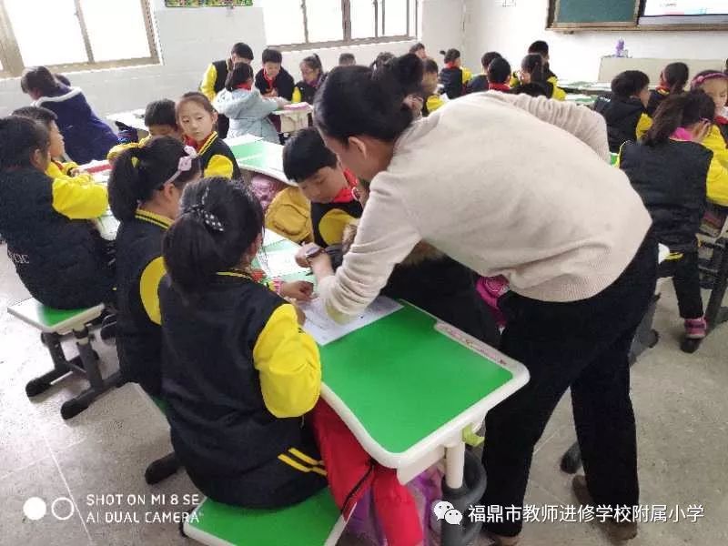 福鼎教师附属小学，培育未来的摇篮之地