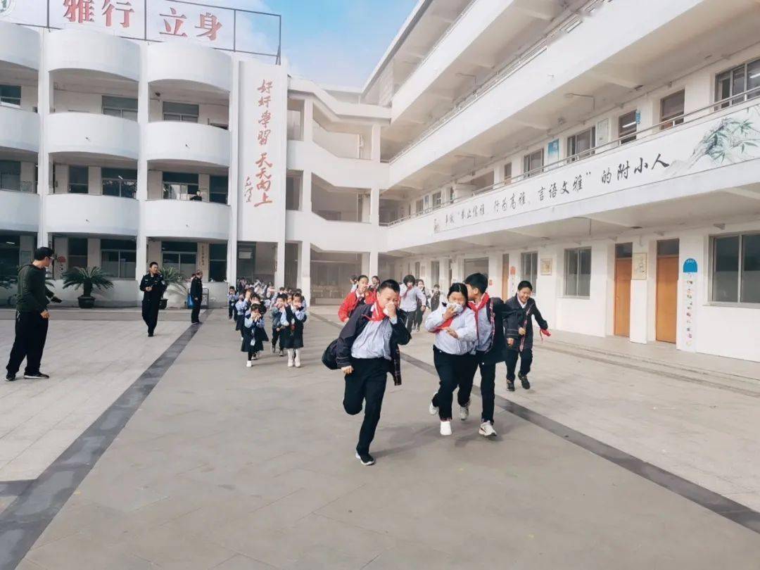 临师附属小学，培育未来的摇篮