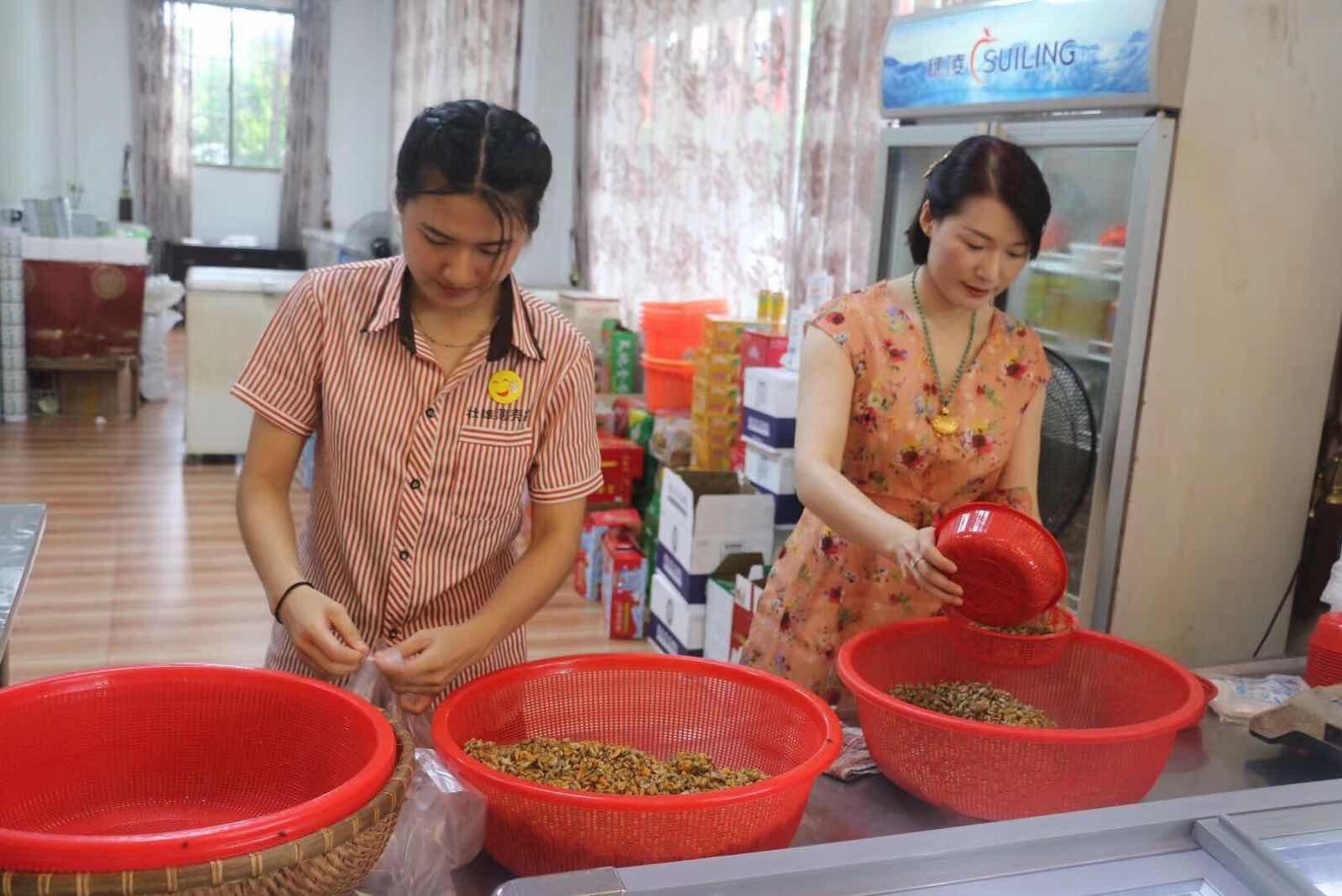 澄海附属小学美食盛宴，品味校园内的味蕾盛宴