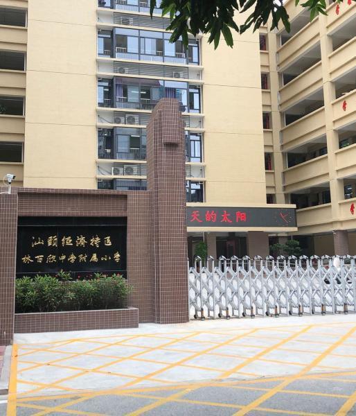 龙马高中附属小学，培育未来之星的摇篮