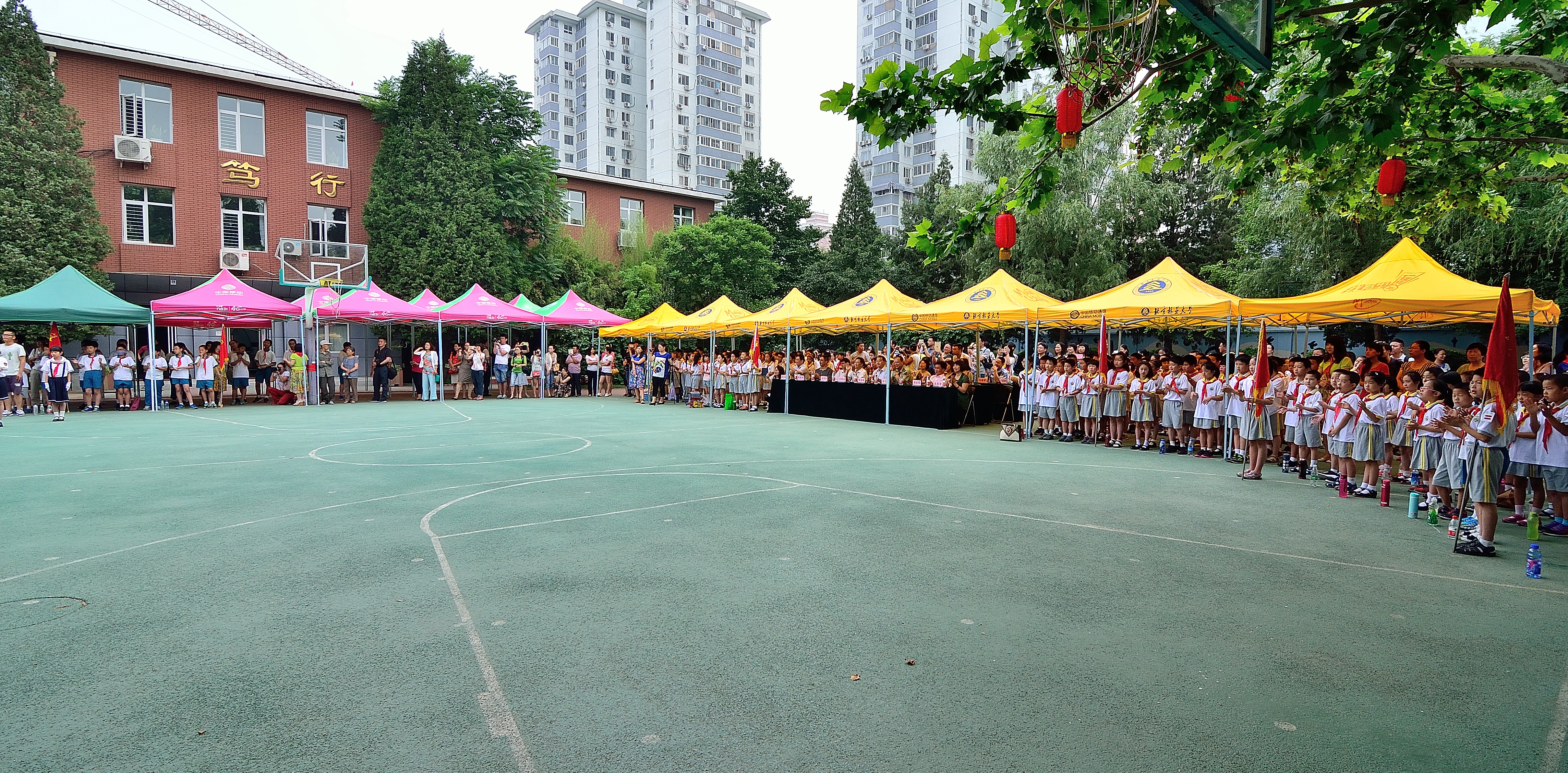 北京林业小学附属小学，绿色教育的领航者