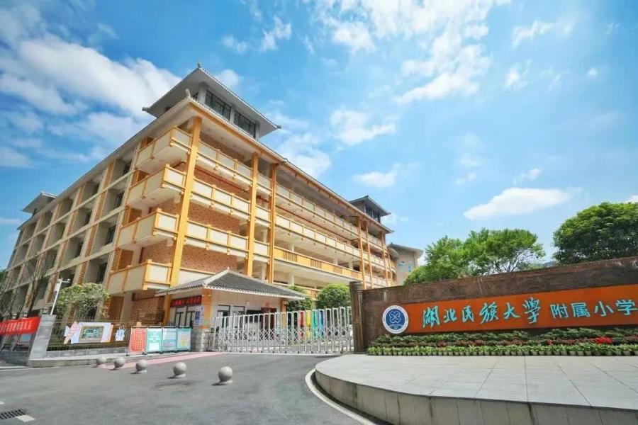 附属小学的规模与空间布局探索，典型小学的大小揭秘