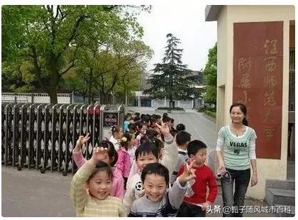 附属小学与子弟小学，教育领域的独特现象