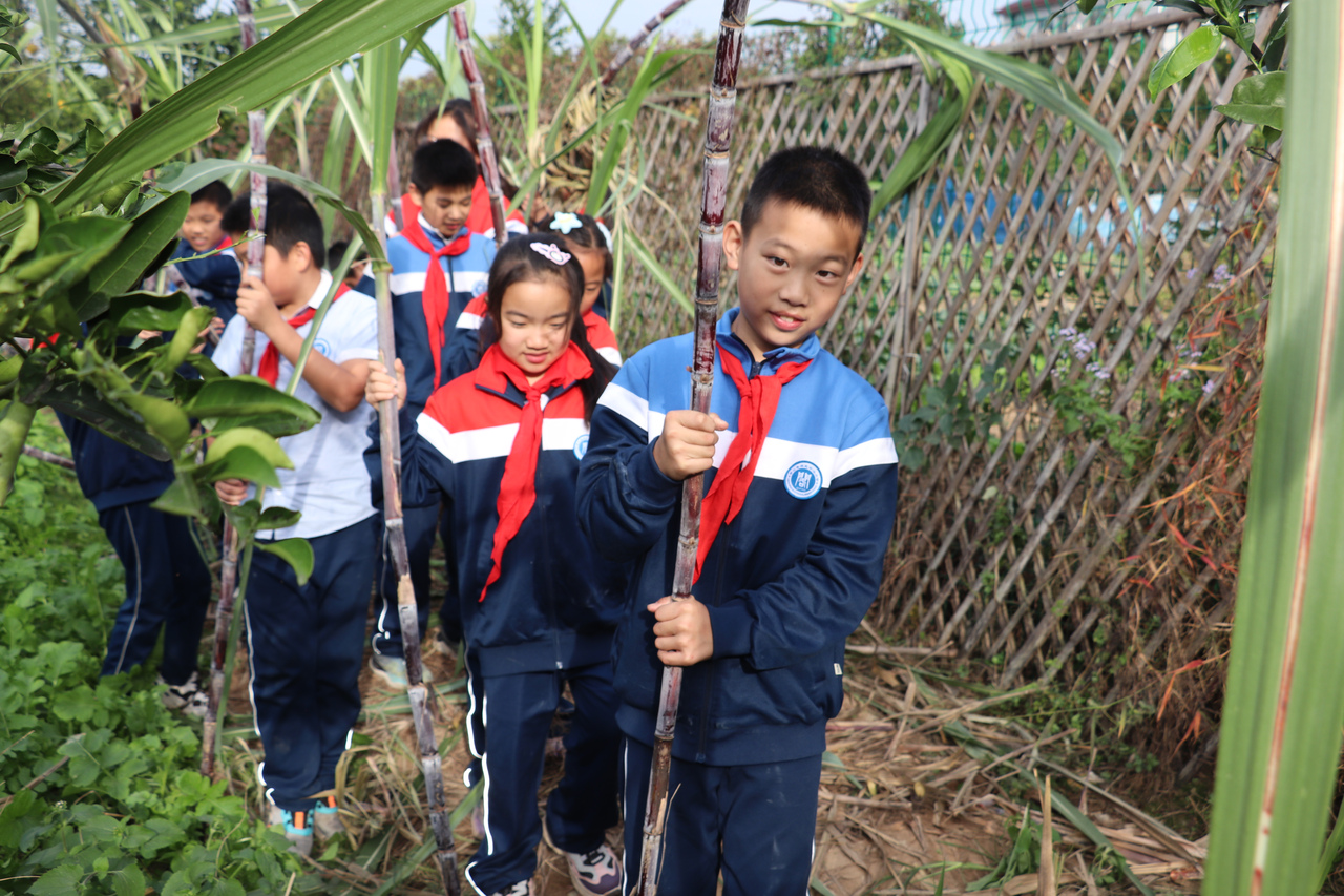 甘蔗进修附属小学，孕育未来人才的摇篮