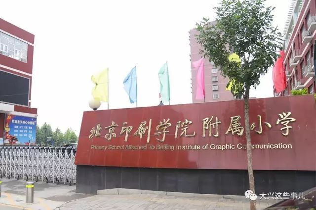 教科院附属小学中签，开启优质教育资源新篇章