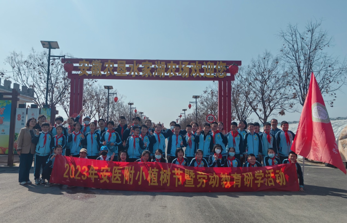 湖科附属小学，孕育未来的教育摇篮