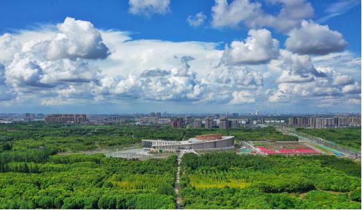 奉贤格致附属小学，培育未来之星的摇篮