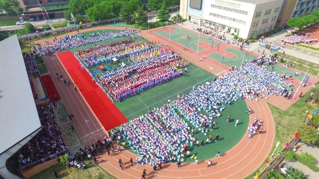 国际生态附属小学，绿色教育的领航者