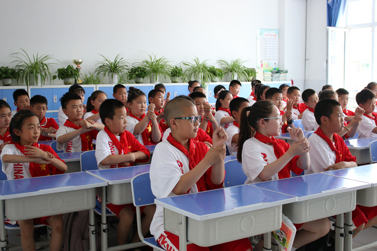 沈阳医大附属小学，教育的璀璨明珠之光