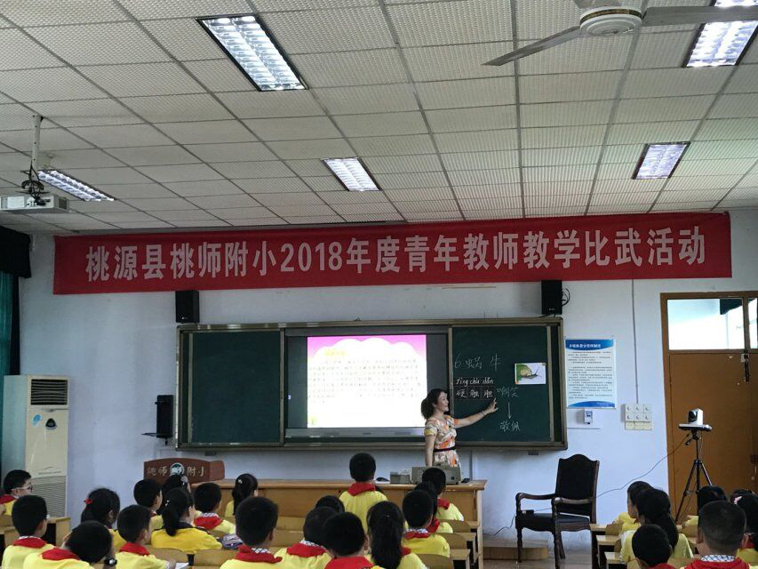 桃源附属小学，探索教育的梦幻之地