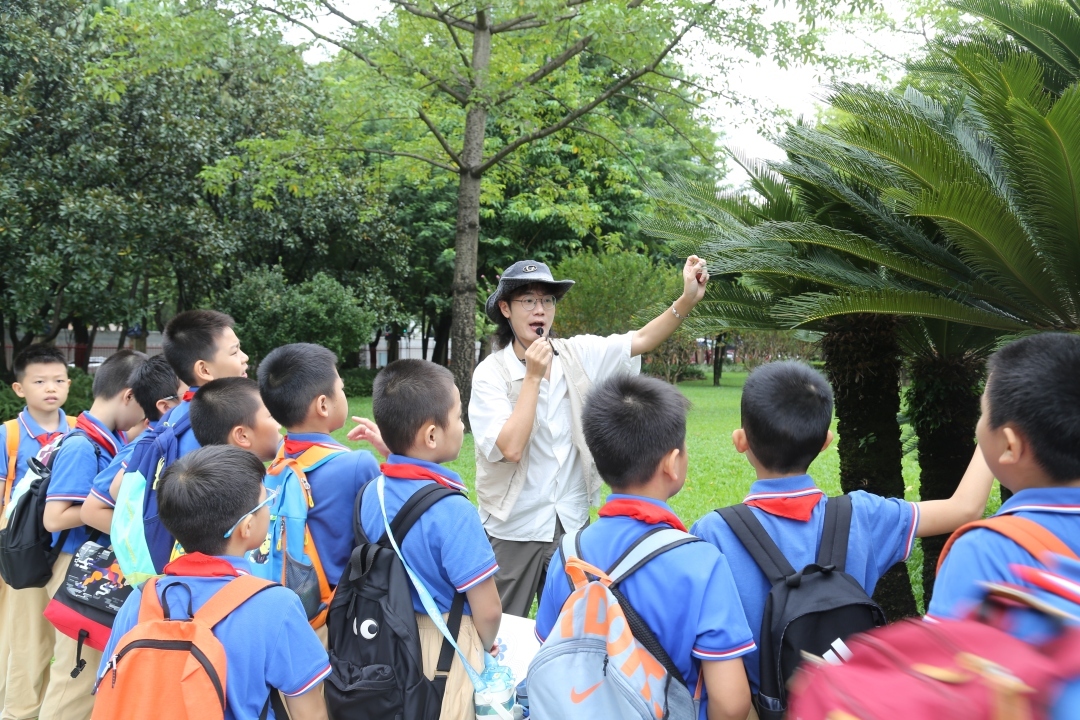 广州生态附属小学，绿意盎然中的教育新篇章启航