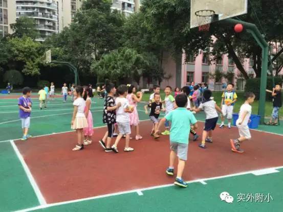 学院附属小学招生启动，报名开始！