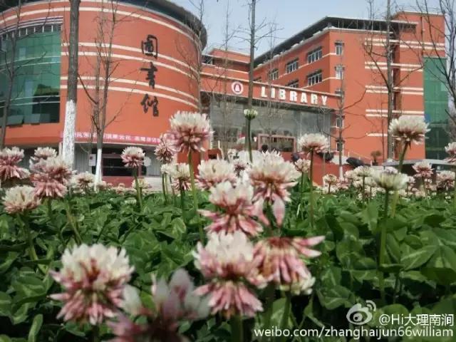 玉溪师院附属小学，培育未来的摇篮之地