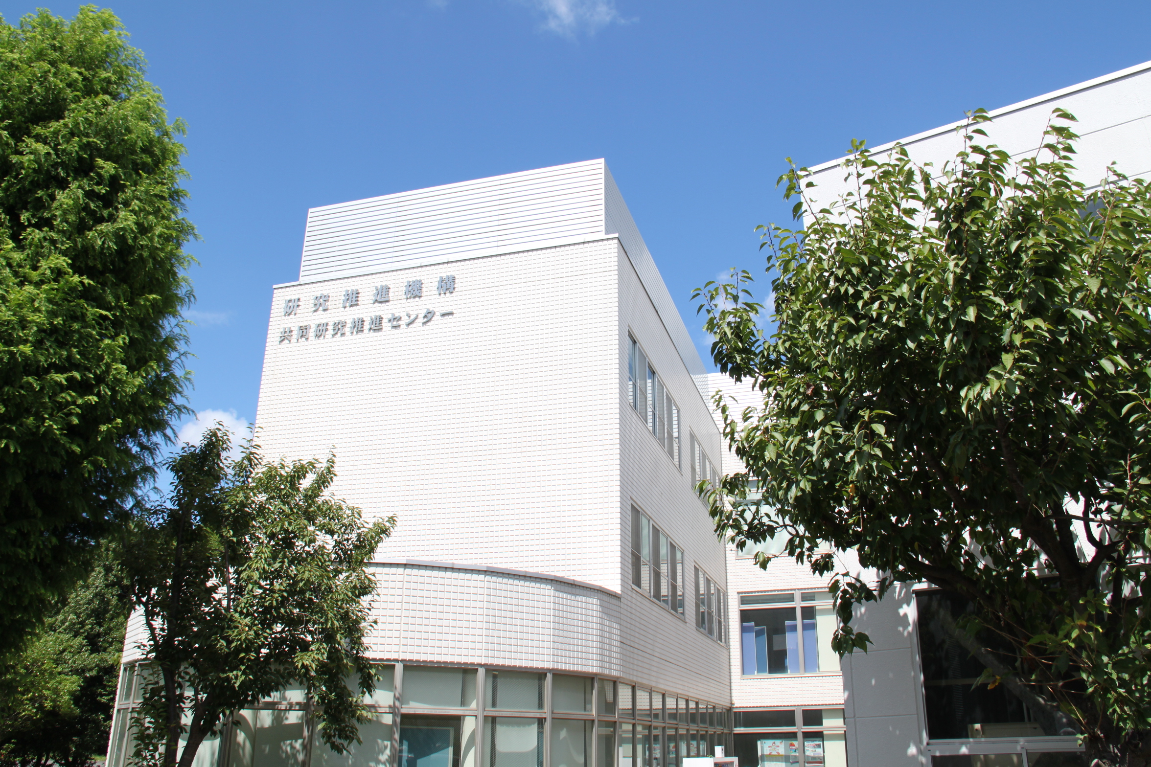 横滨国立大学附属小学，传统与创新的融合教育典范