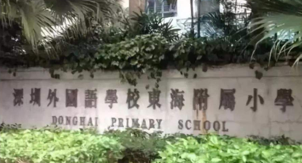 东海附属小学校长，引领之光，育人之魂的领航者