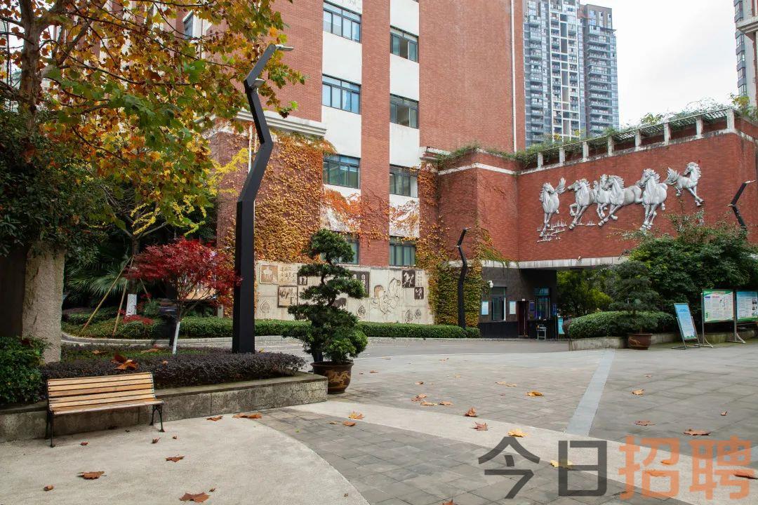 南川中学附属小学，未来人才的摇篮