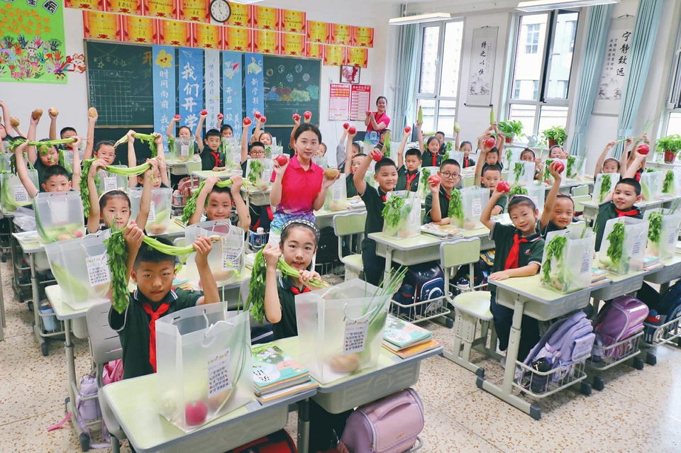 芦苞附属小学，培育未来的摇篮之地