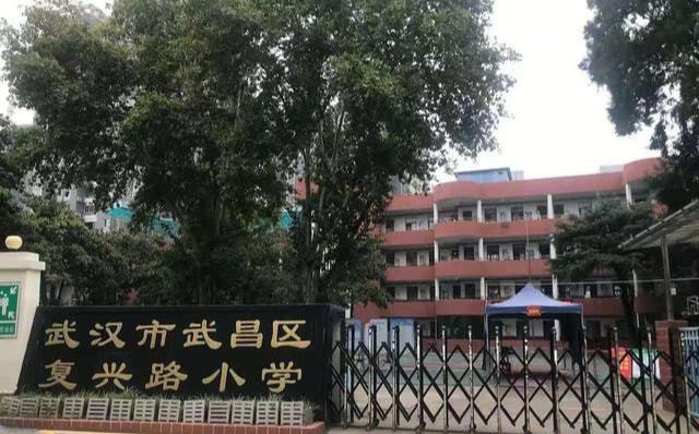 武珞路附属小学排名及教育影响力解析